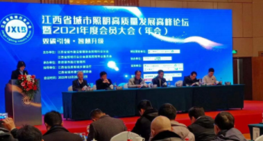 乐鱼官方站网页版登录入口-乐鱼online(中国)受邀参加江西省城市照明高质量发展高峰论坛